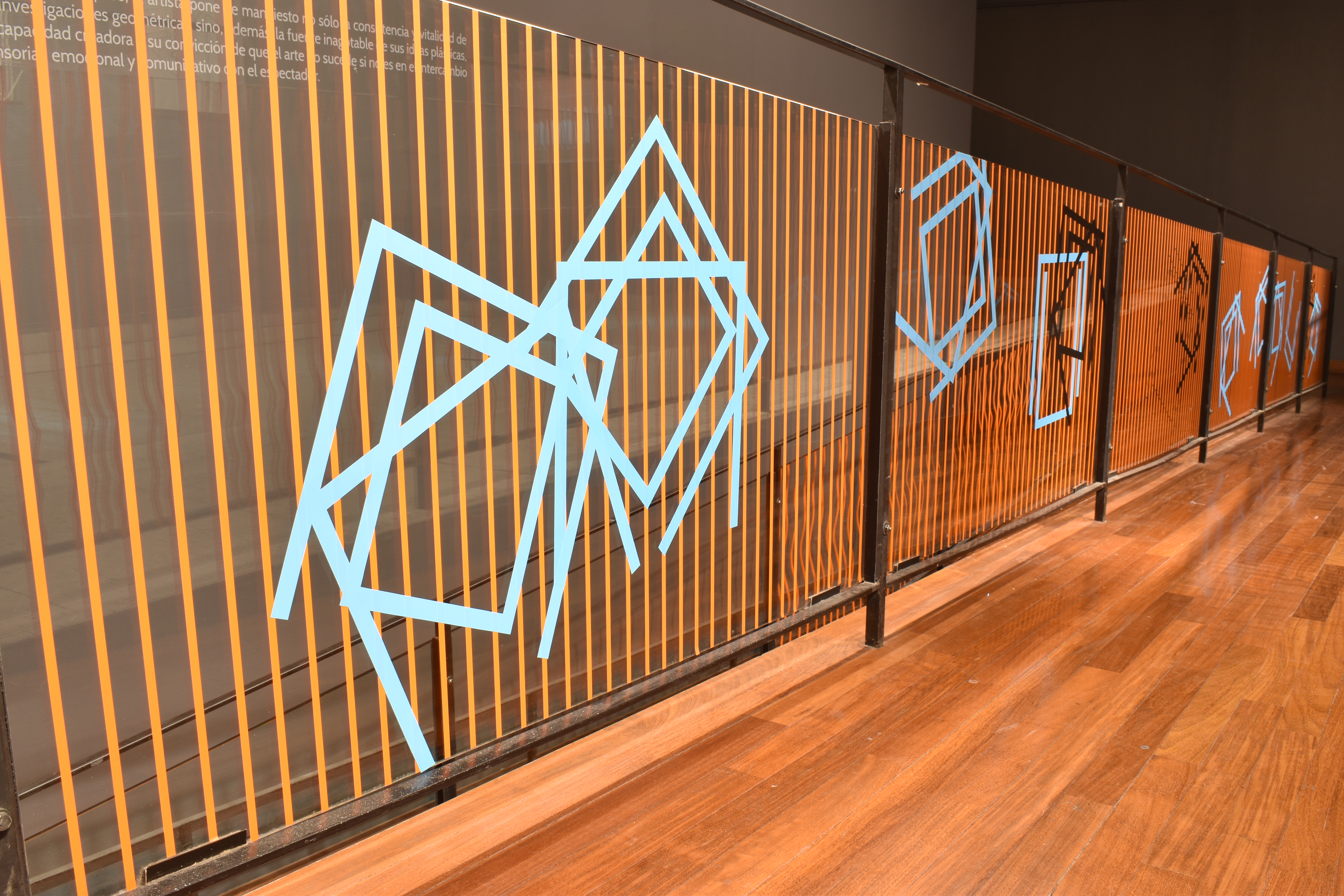 Liliana Iturriaga - GAM