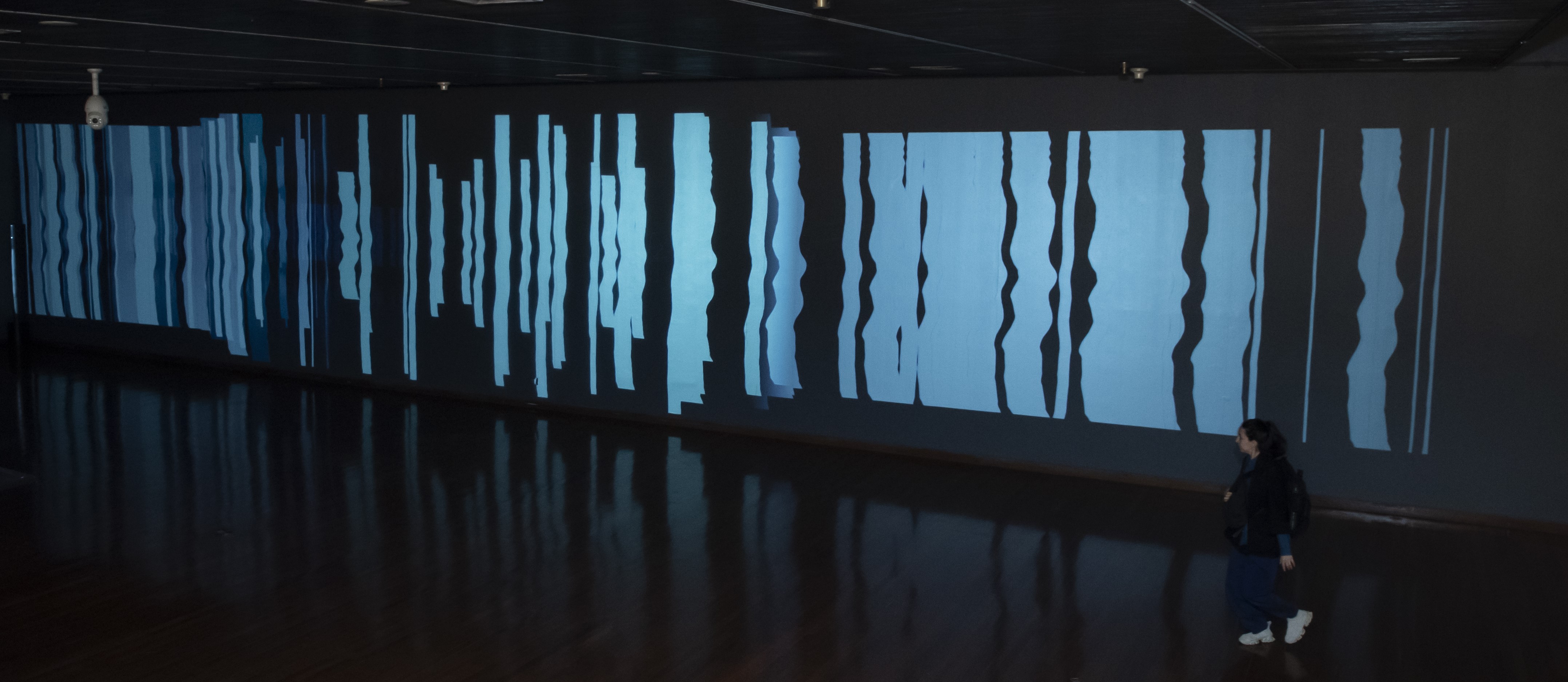 Liliana Iturriaga - GAM