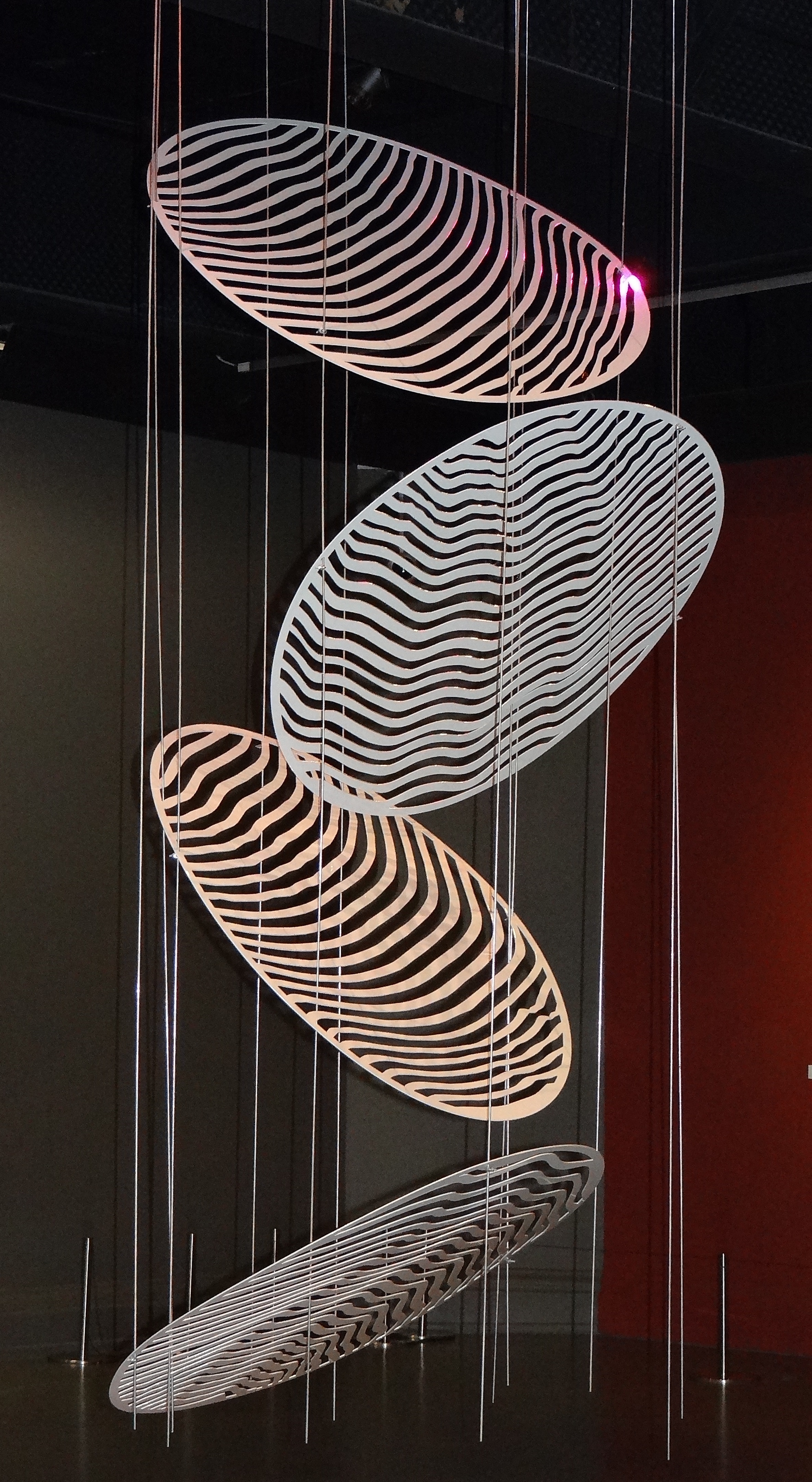 Liliana Iturriaga - Concéntricos