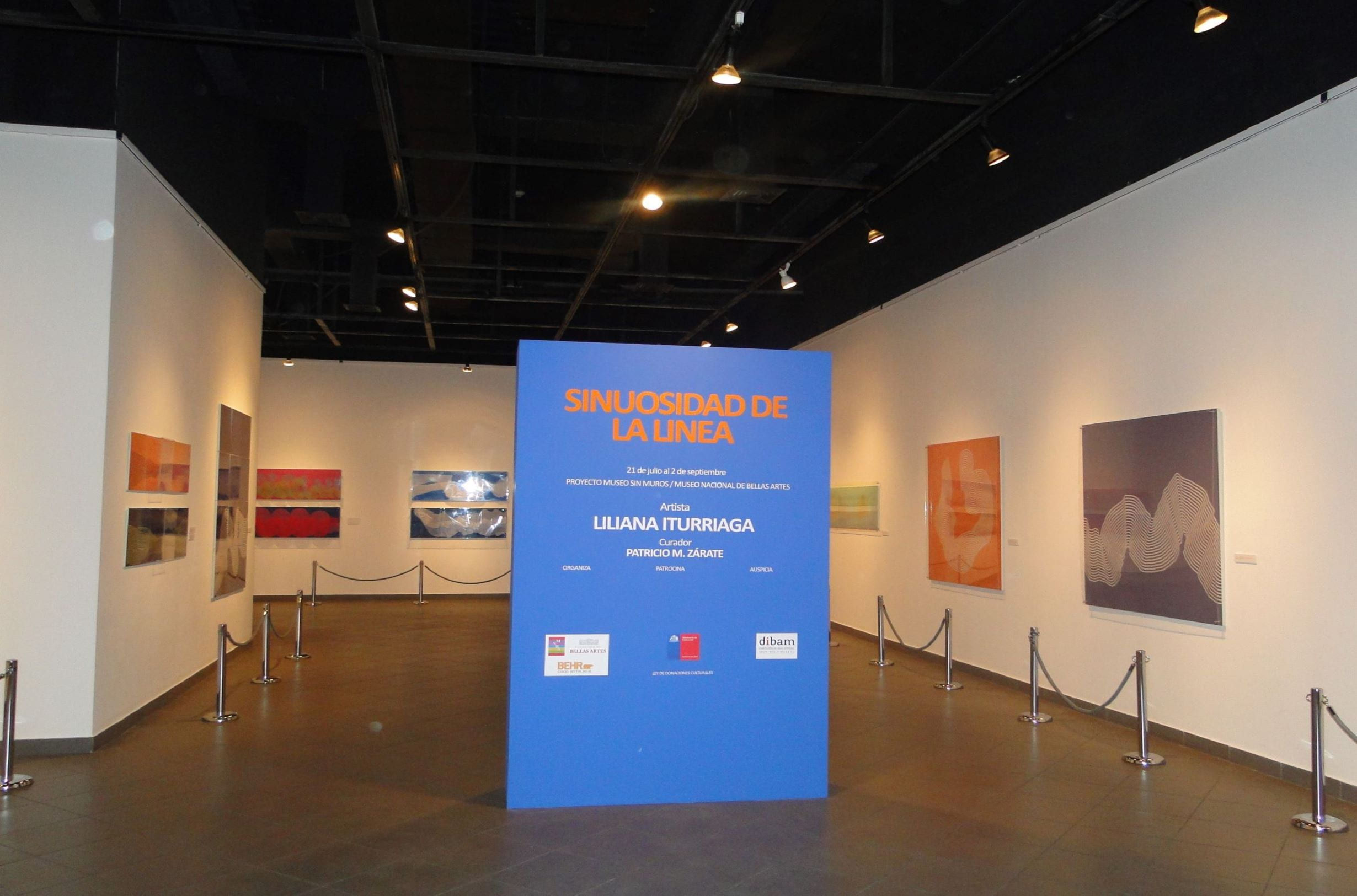 Liliana Iturriaga - sinuosidad 02