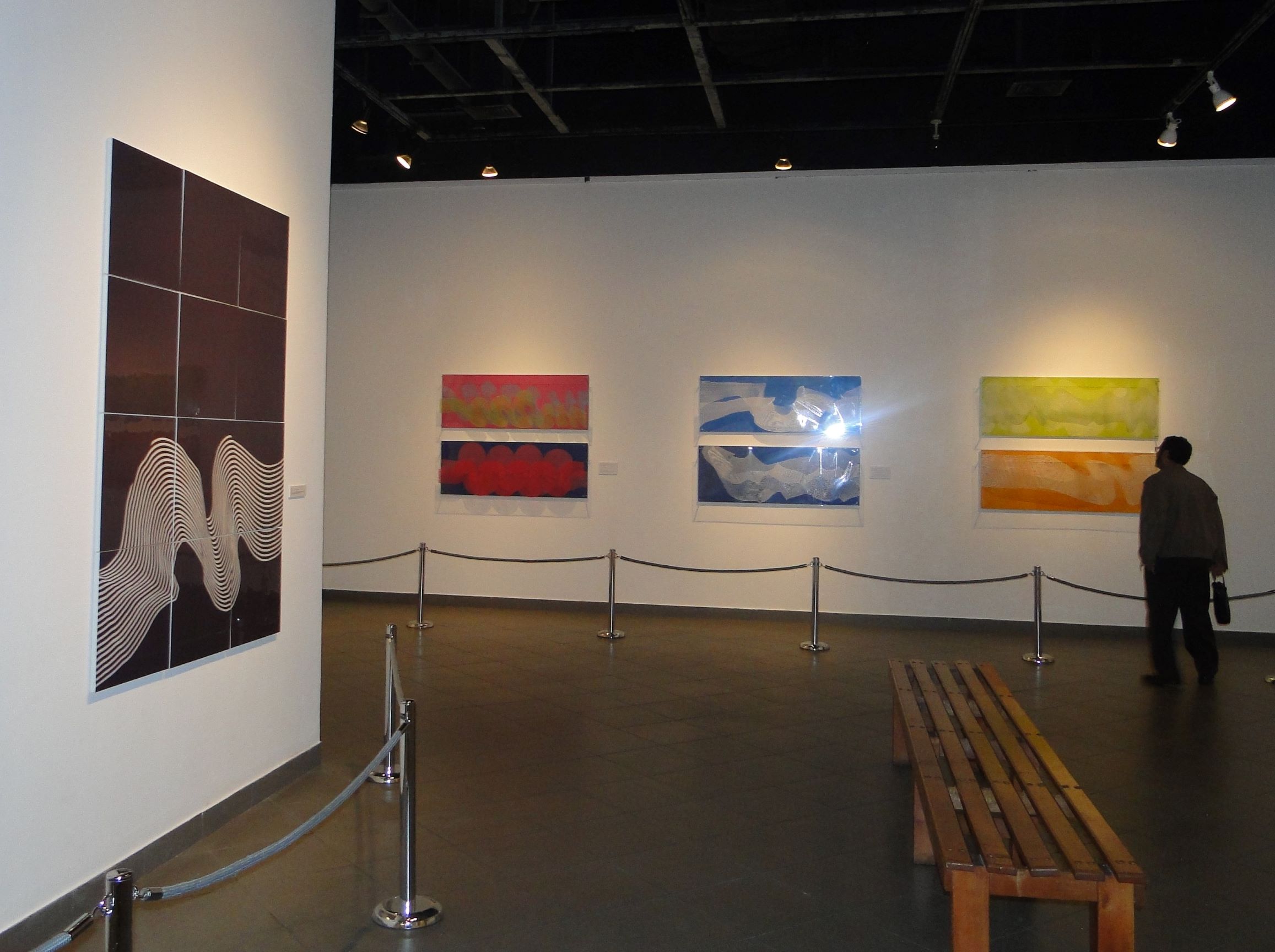 Liliana Iturriaga - sinuosidad 04