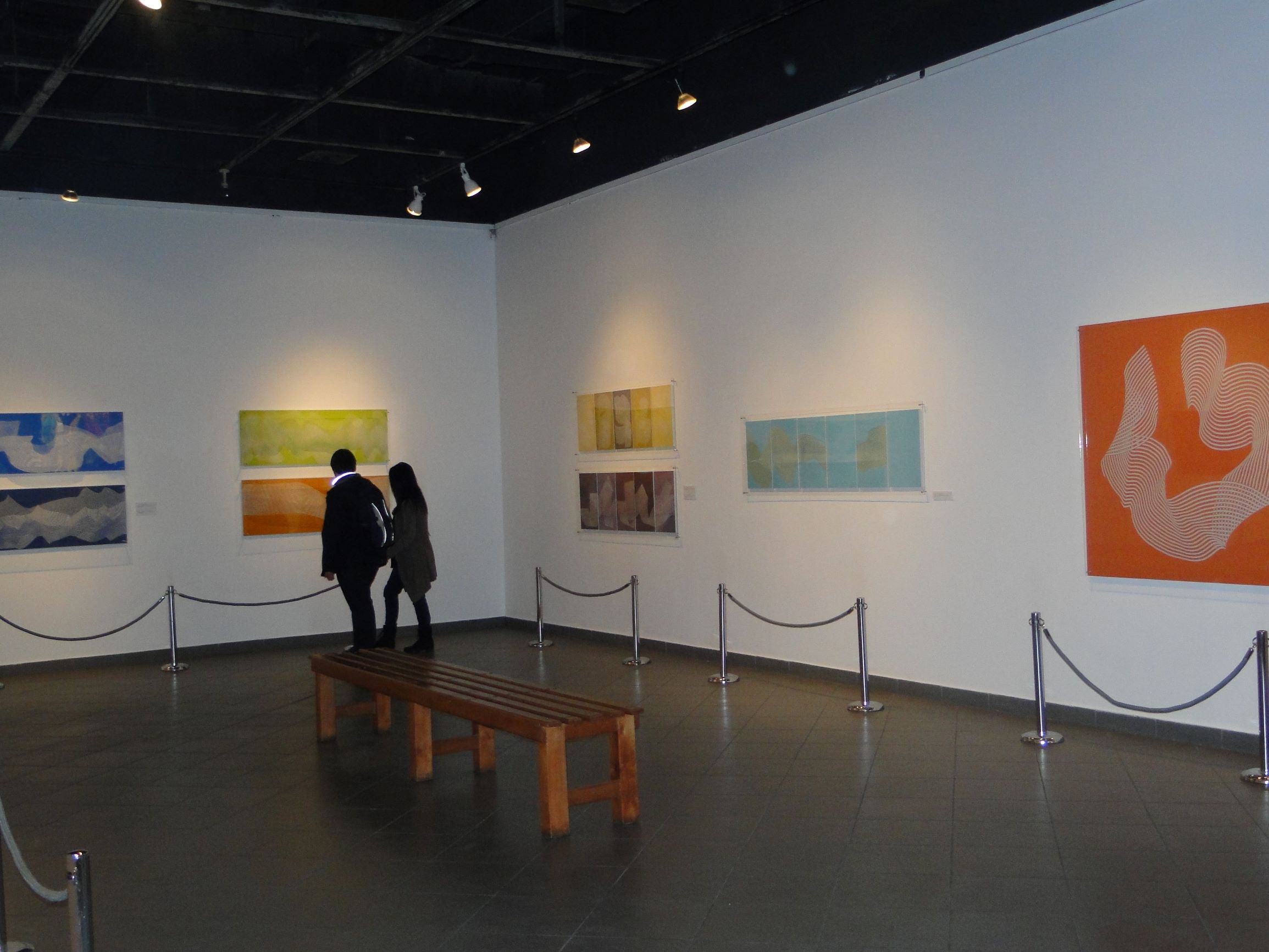 Liliana Iturriaga - sinuosidad 08