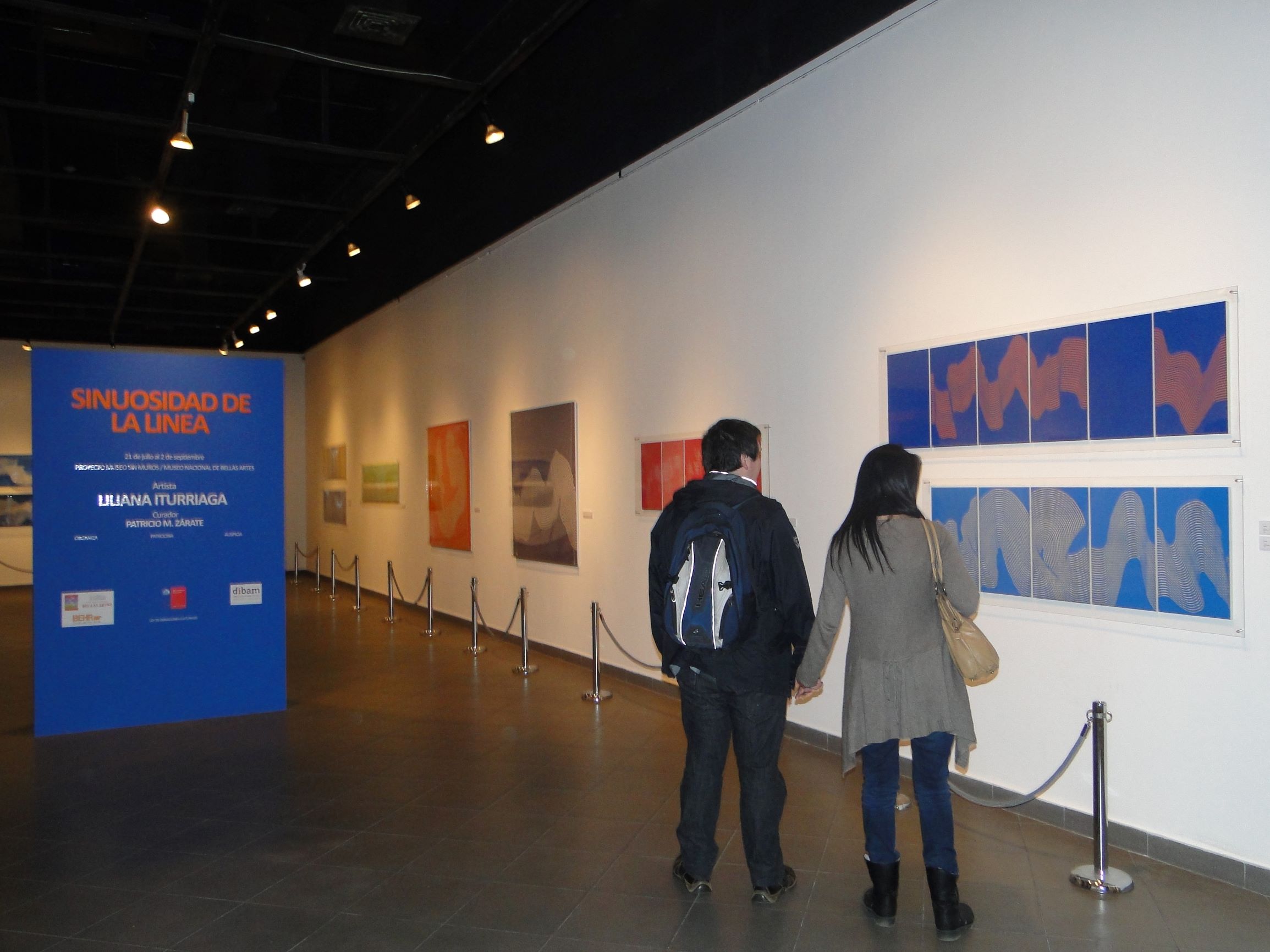 Liliana Iturriaga - sinuosidad 09