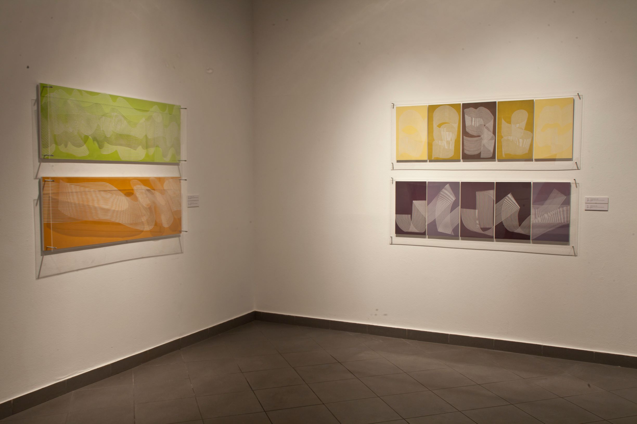 Liliana Iturriaga - sinuosidad 12