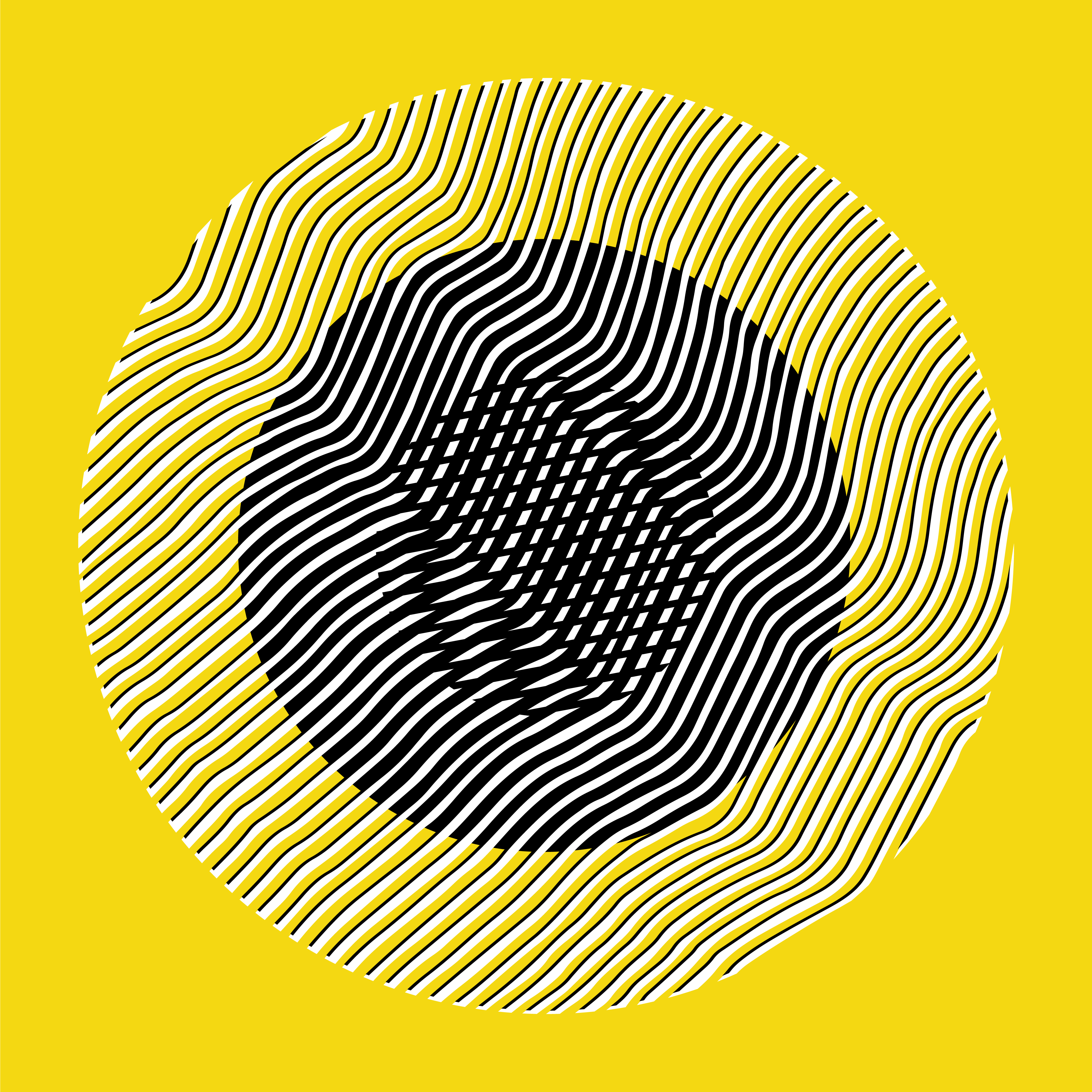 Liliana Iturriaga - Concéntricos