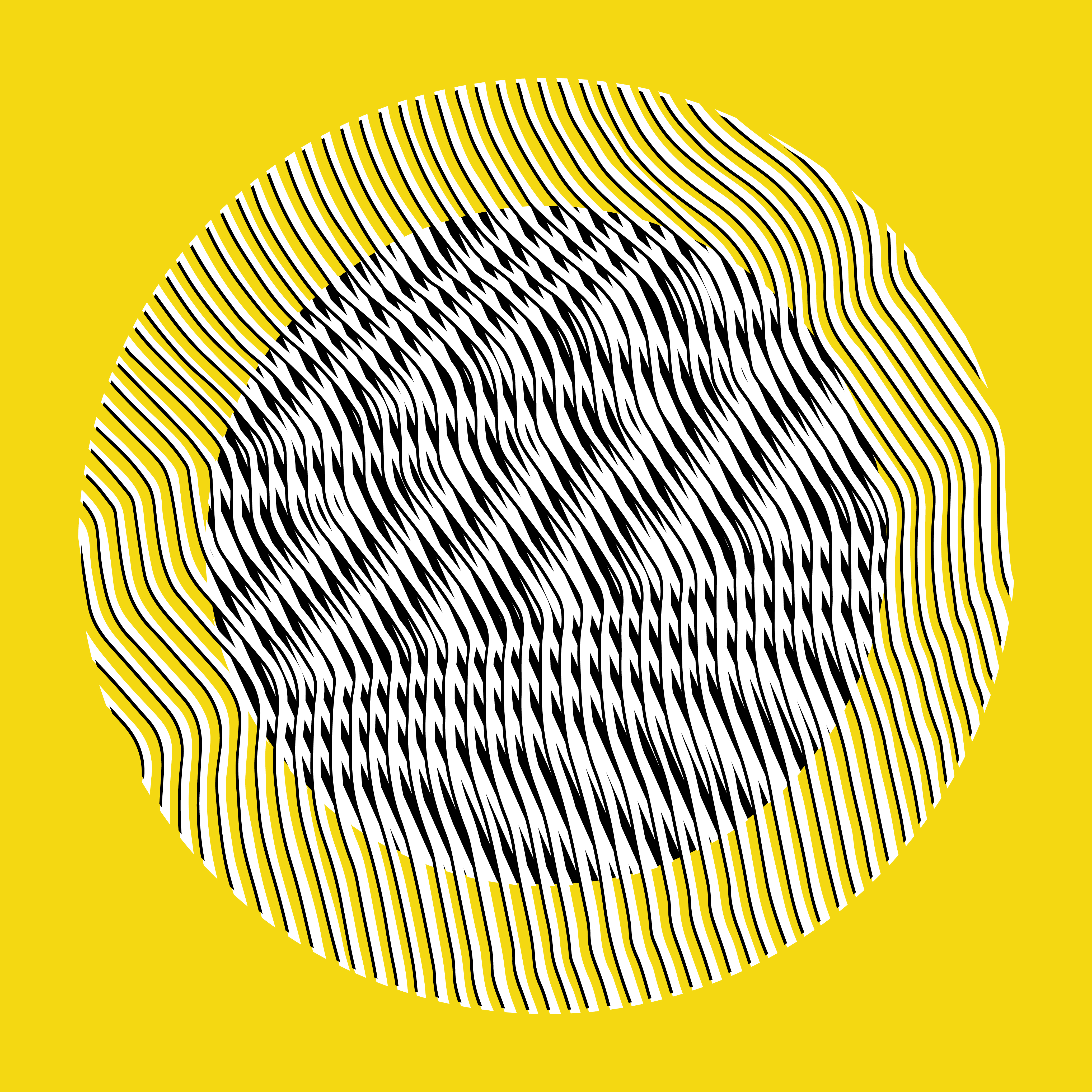 Liliana Iturriaga - Concéntricos