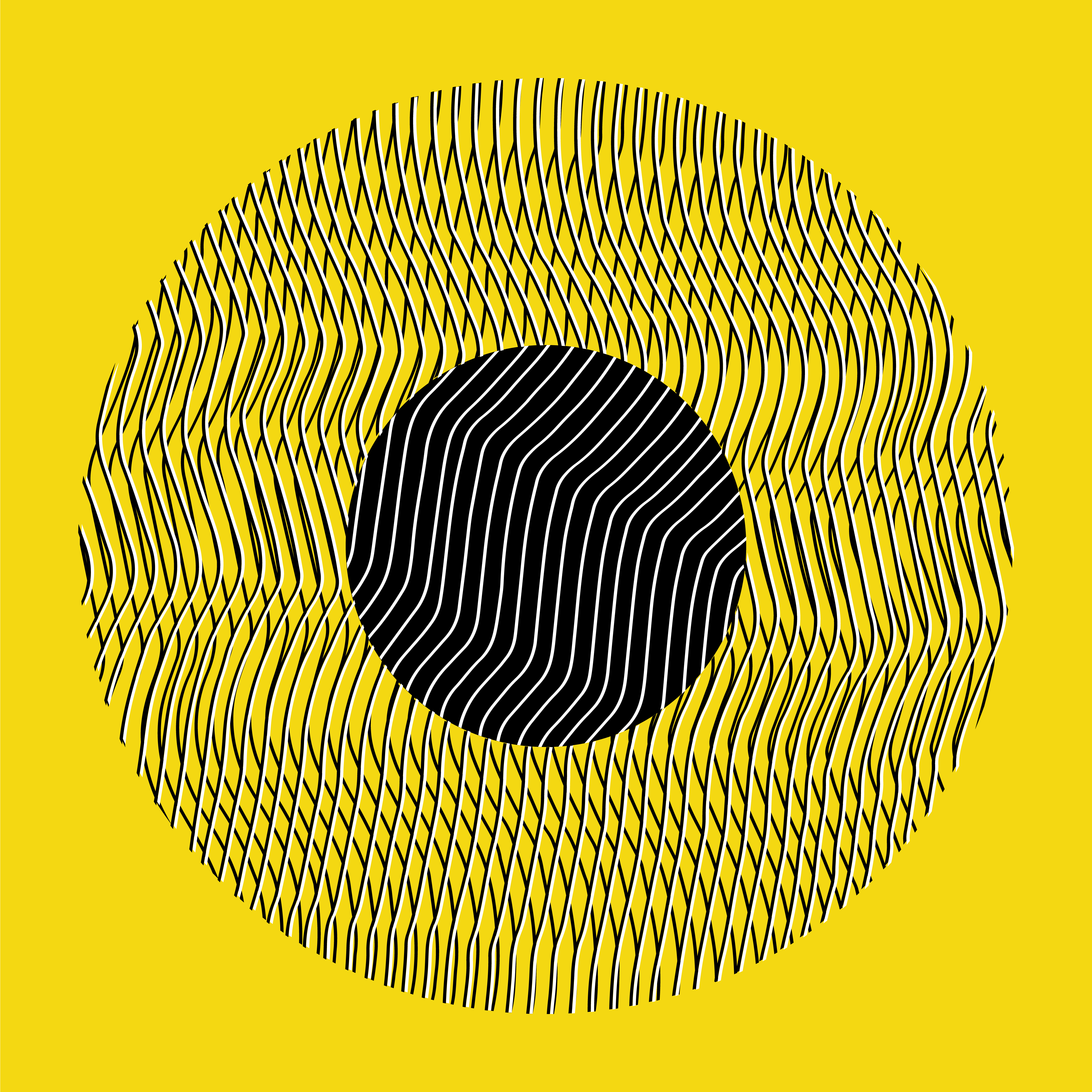 Liliana Iturriaga - Concéntricos