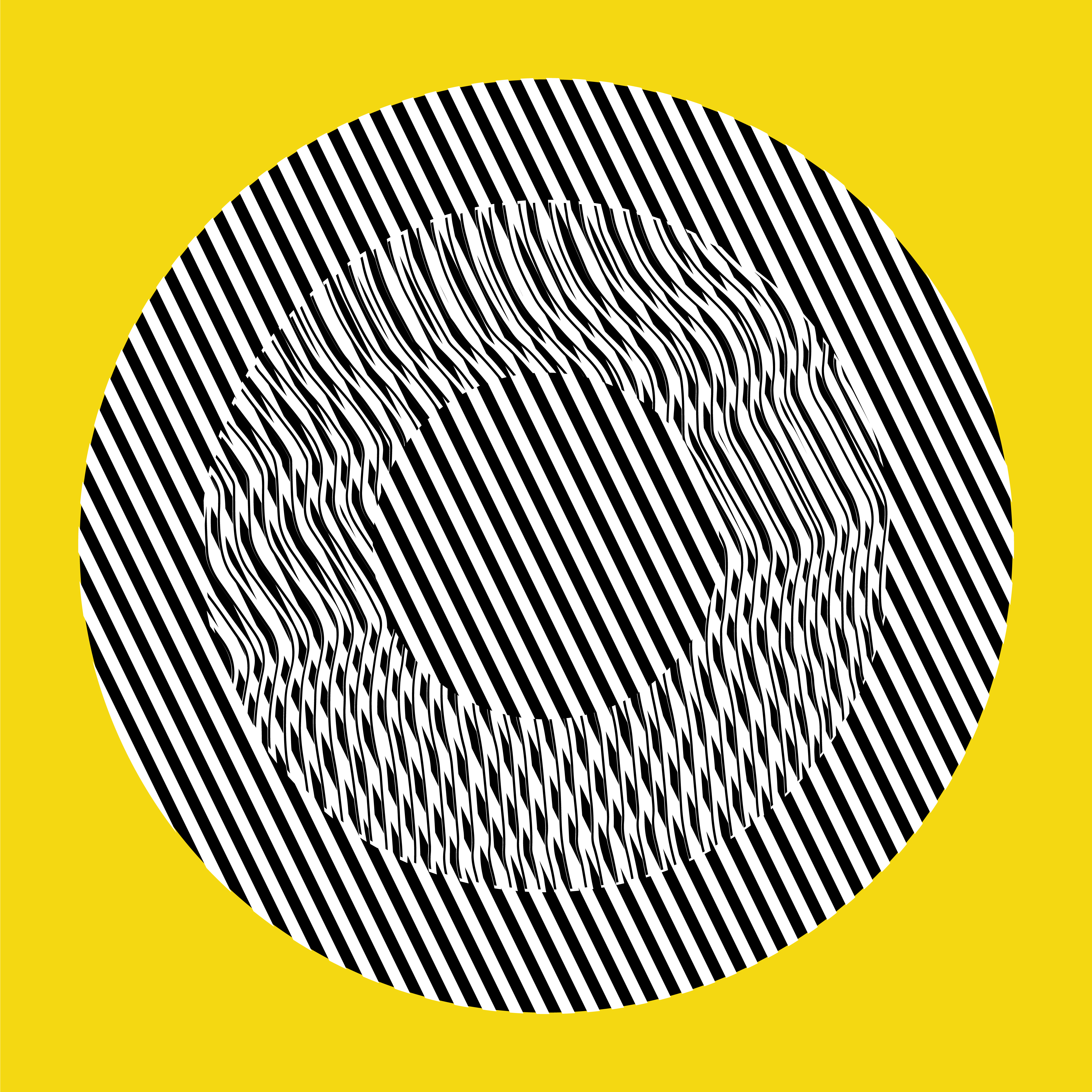 Liliana Iturriaga - Concéntricos