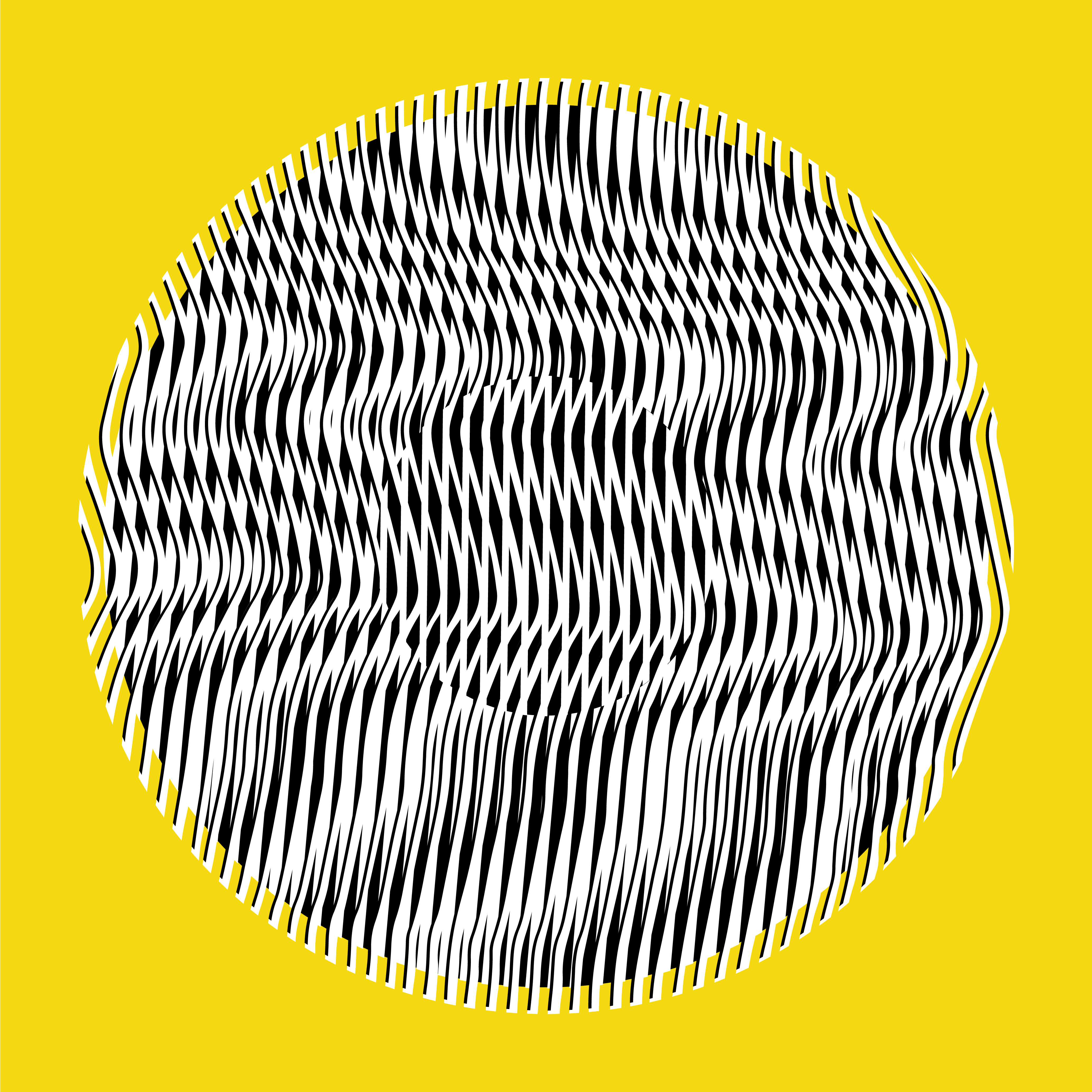 Liliana Iturriaga - Concéntricos